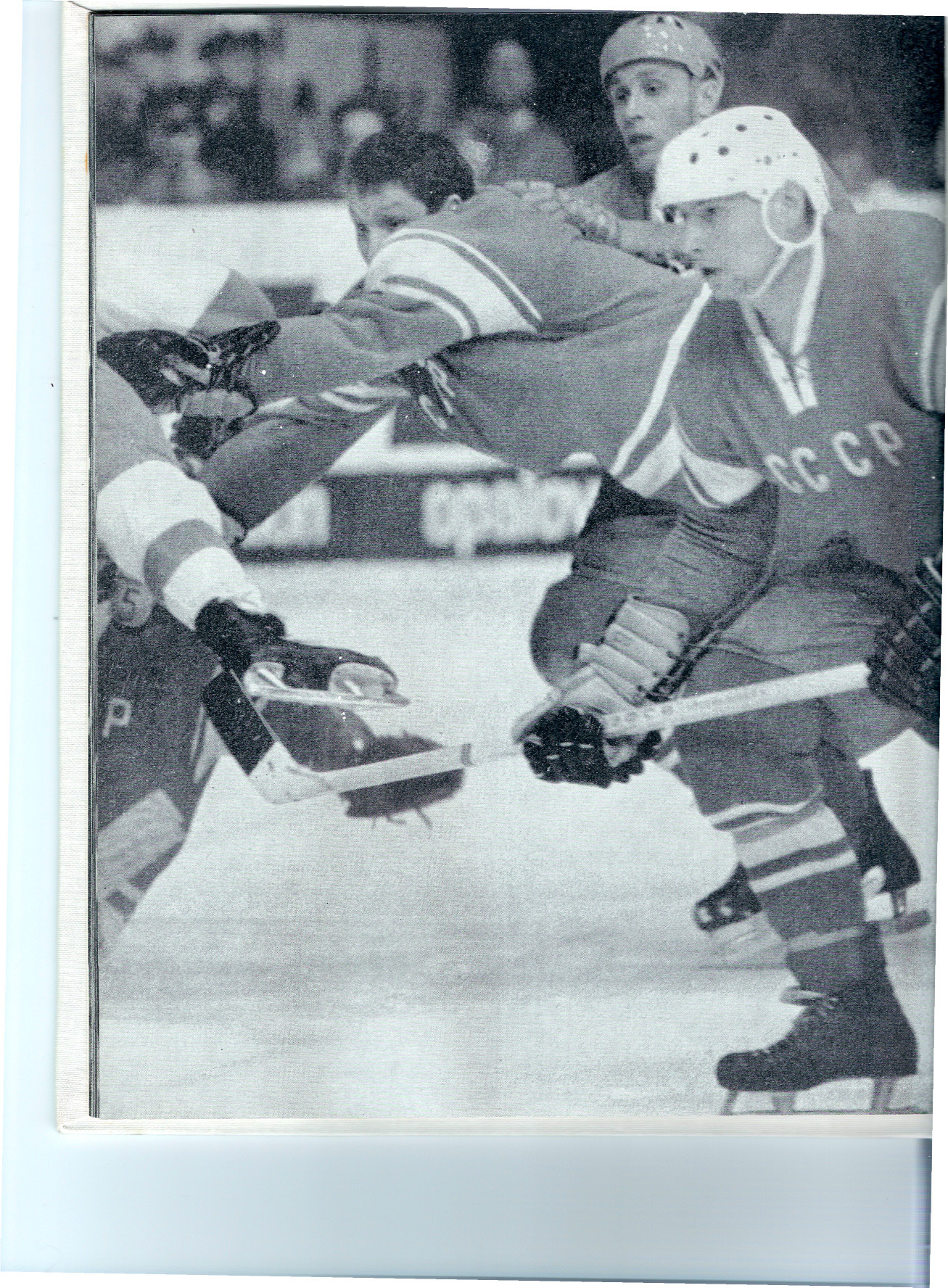 ���� ������