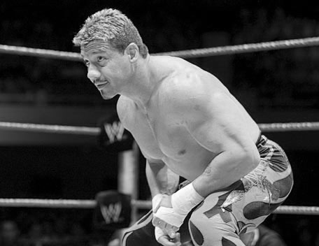 ���� �������