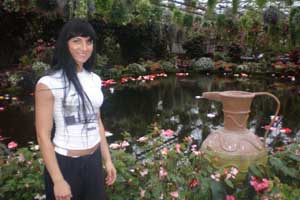 ���� ����������