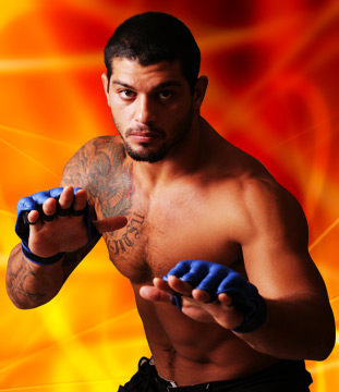 ������� ����� - ���������� �� ������� �����