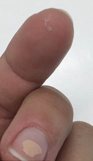 ���� ����� - ���������� �� ������� �����