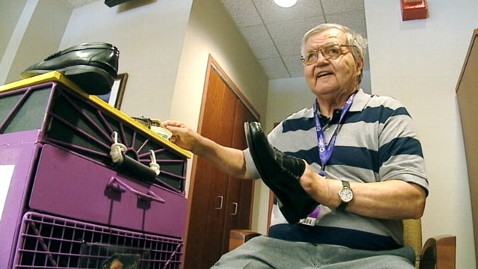 ������� ����� - ���������� �� ������� �����