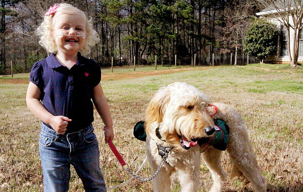 ����� ����� - ���������� �� ������� �����