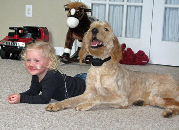 ����� ����� - ���������� �� ������� �����