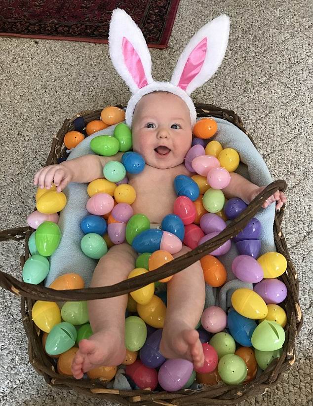 ������� ����� - ���������� �� ������� �����