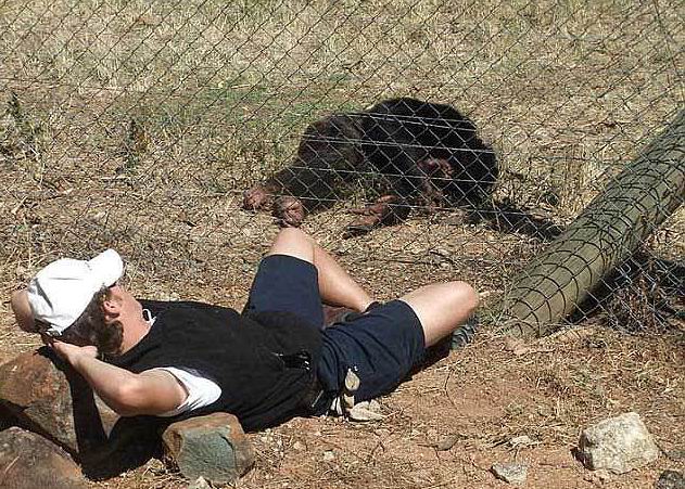 ����� ������ - ���������� �� ������� �����