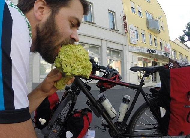 ������� ������� - ���������� �� ������� �����