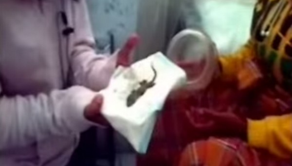 ���� ��������� - ���������� �� ������� �����