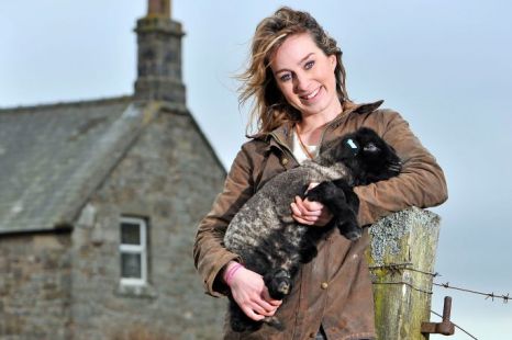 ���� ���� - ���������� �� ������� �����