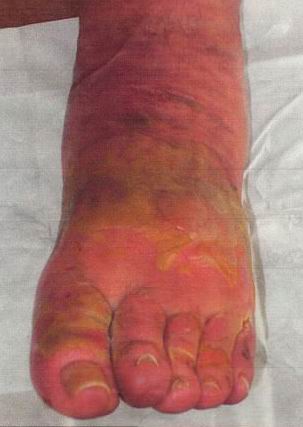 ����� ������� - ���������� �� ������� �����