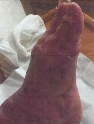 ����� ������� - ���������� �� ������� �����