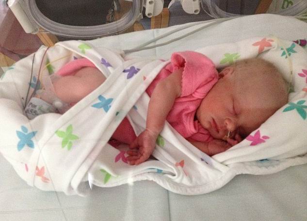 ����� ������ - ���������� �� ������� �����