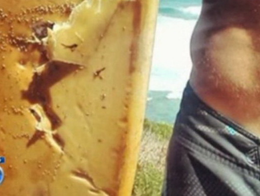 ����� ������