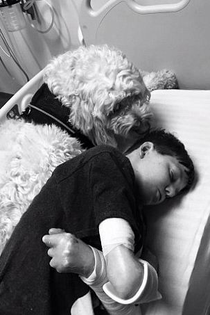 ���� ������ - ���������� �� ������� �����