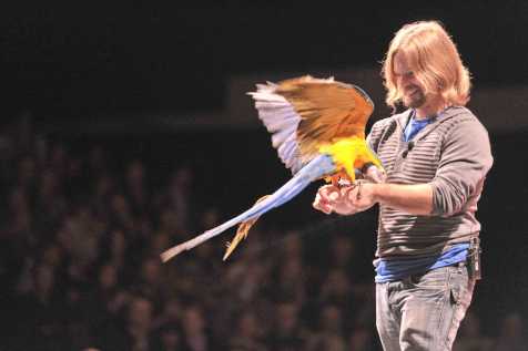 ���� ��� - ���������� �� ������� �����