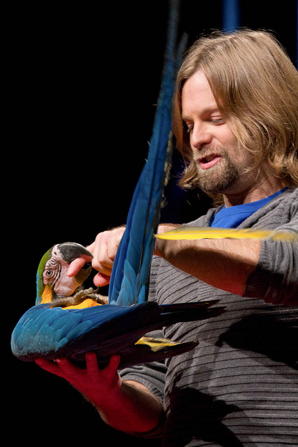 ���� ��� - ���������� �� ������� �����