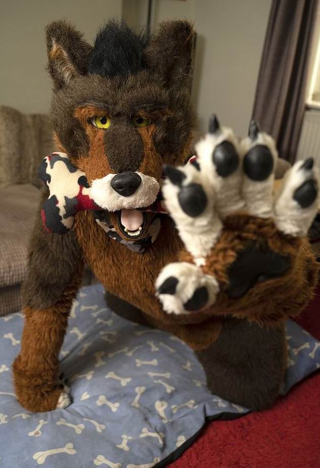 ��� ������ - ���������� �� ������� �����