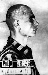 ���� ������� - ���������� �� ������� �����