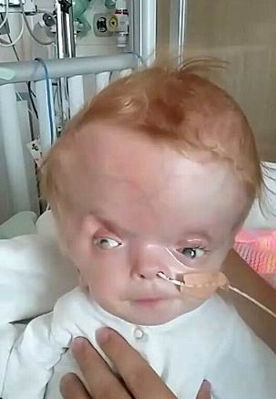 ����� ������ - ���������� �� ������� �����