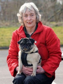 ������ ����� - ���������� �� ������� �����