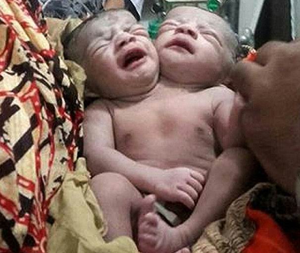 ��� ������ - ���������� �� ������� �����