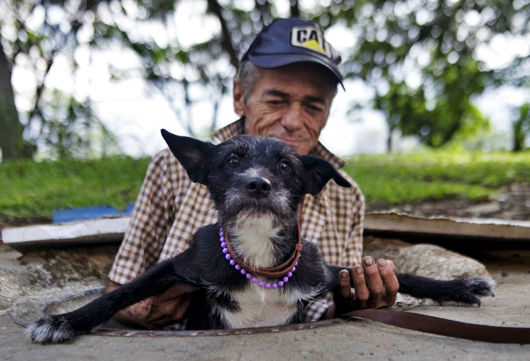 ������ �������� - ���������� �� ������� �����