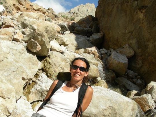 ����� ��������� - ���������� �� ������� �����