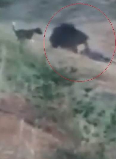 ������ ������� - ���������� �� ������� �����