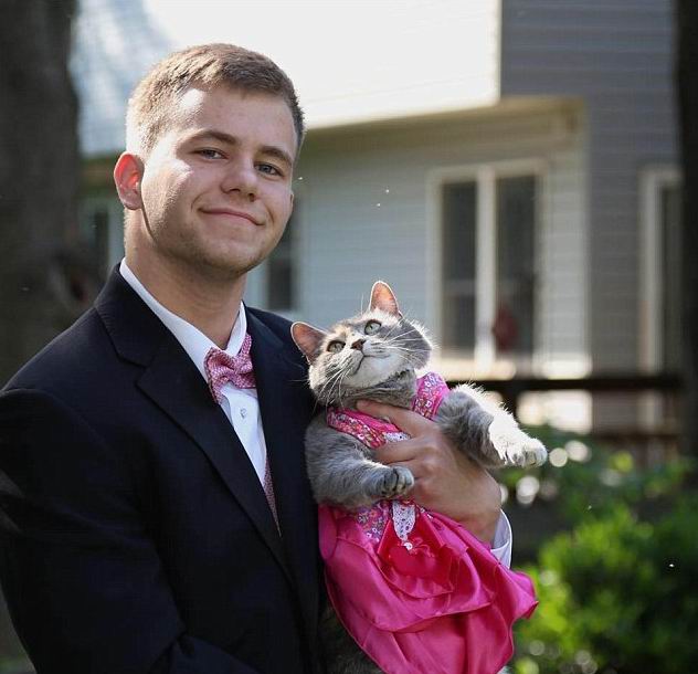 ��� ��������� - ���������� �� ������� �����