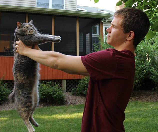 ��� ��������� - ���������� �� ������� �����