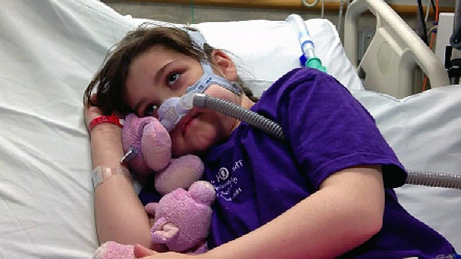 ���� �������� - ���������� �� ������� �����