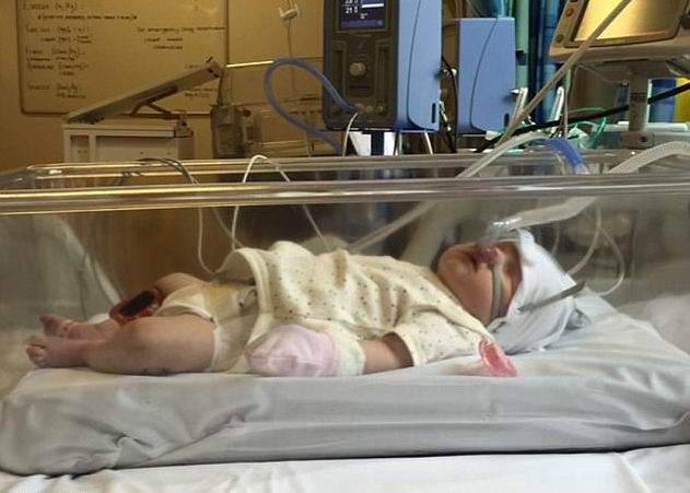 ��� ������� - ���������� �� ������� �����