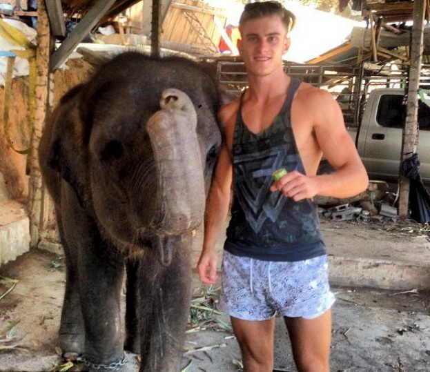 ���� �������� - ���������� �� ������� �����