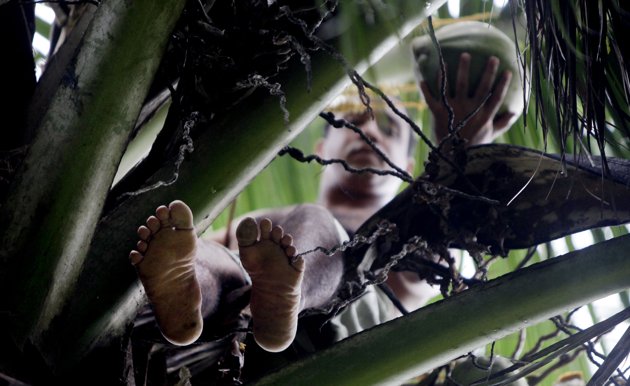 ������� �������� ������� - ���������� �� ������� �����