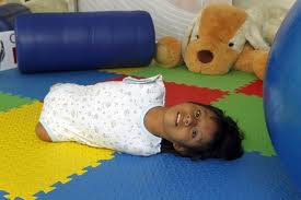 ������ ����� ���� - ���������� �� ������� �����