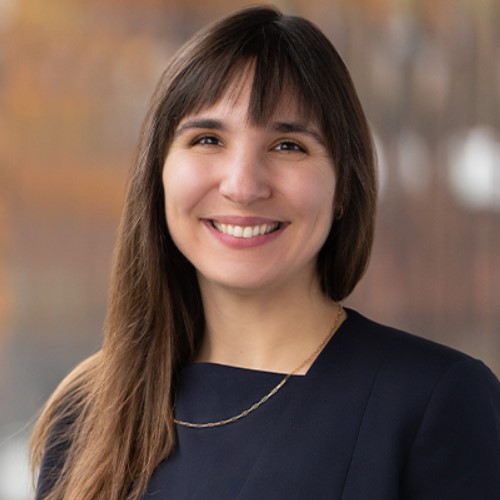 ���������� ���������. ���� �� �������� ����������