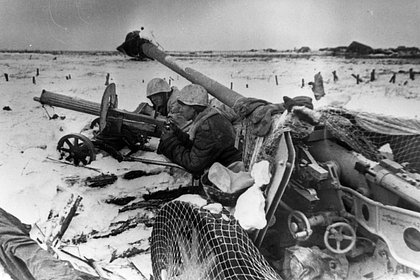 ��������: ������ ������� ���� ������ � �����, ������� ������������ ��������. ��������: icdn.lenta.ru