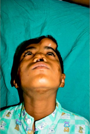 ���� ������