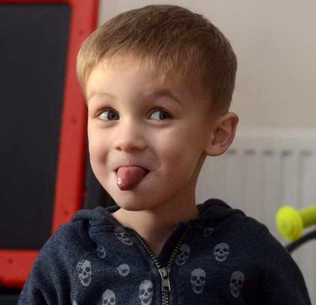 ����� �������� - ���������� �� ������� �����