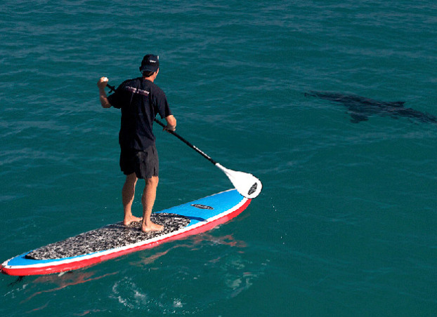 ���� ������� - ���������� �� ������� �����