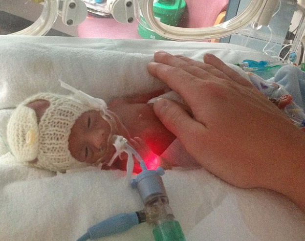 ������ ��������� - ���������� �� ������� �����