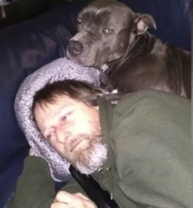 ���� ���������� - ���������� �� ������� �����