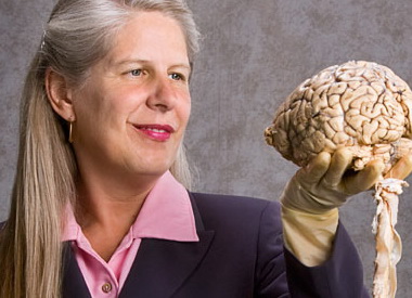 ���� ������ - ���������� �� ������� �����