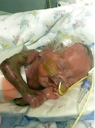 ������ ����� ������ - ���������� �� ������� �����