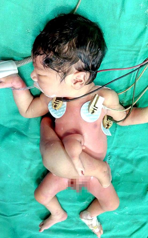 ���� ��� - ���������� �� ������� �����