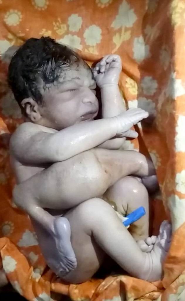 ���� ��� - ���������� �� ������� �����