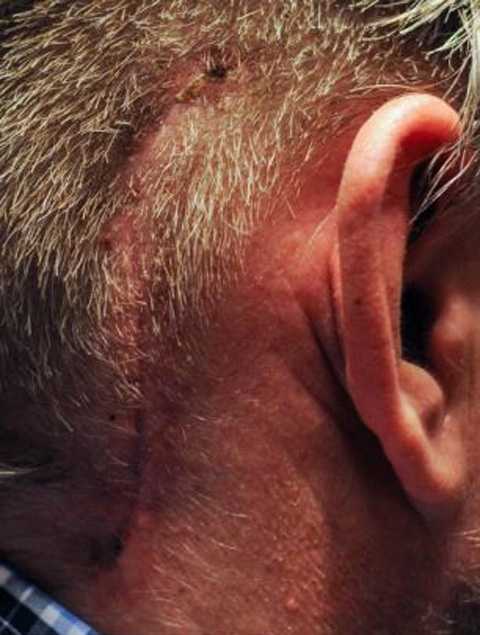 ���� ������� - ���������� �� ������� �����