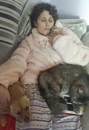 ������ ���� - ���������� �� ������� �����