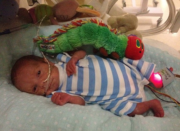 ����� ������ - ���������� �� ������� �����