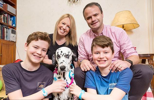 ������ ��� - ���������� �� ������� �����